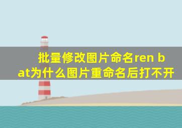 批量修改图片命名ren bat为什么图片重命名后打不开